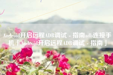 Android开启远程ADB调试 - 指南adb连接手机「Android开启远程ADB调试 - 指南」