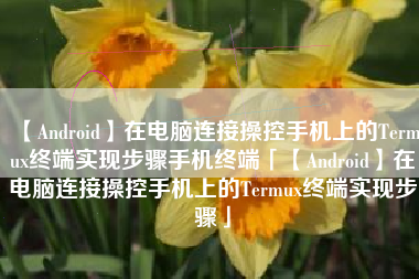 【Android】在电脑连接操控手机上的Termux终端实现步骤手机终端「【Android】在电脑连接操控手机上的Termux终端实现步骤」