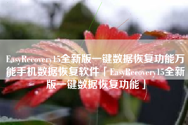 EasyRecovery15全新版一键数据恢复功能万能手机数据恢复软件「EasyRecovery15全新版一键数据恢复功能」