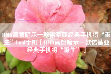 HMD高管暗示一款诺基亚经典手机将“重生”hmd手机「HMD高管暗示一款诺基亚经典手机将“重生”」