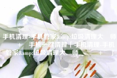 手机清理-手机管家&垃圾清理大‪师‬‪٤+‬手机一键清理「手机清理-手机管家&垃圾清理大‪师‬‪٤+‬」