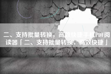 二、支持批量转换，高效快捷手机PDF阅读器「二、支持批量转换，高效快捷」