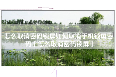 怎么取消密码锁屏如何取消手机锁屏密码「怎么取消密码锁屏」