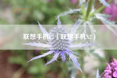 联想手机x2（联想手机X2）