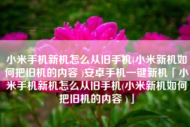 小米手机新机怎么从旧手机(小米新机如何把旧机的内容 )安卓手机一键新机「小米手机新机怎么从旧手机(小米新机如何把旧机的内容 )」