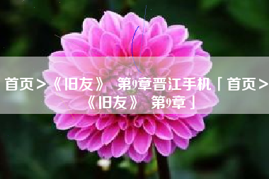 首页＞《旧友》  第9章晋江手机「首页＞《旧友》  第9章」