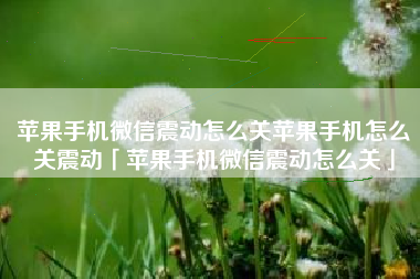 苹果手机微信震动怎么关苹果手机怎么关震动「苹果手机微信震动怎么关」