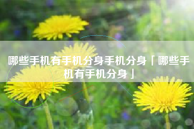 哪些手机有手机分身手机分身「哪些手机有手机分身」