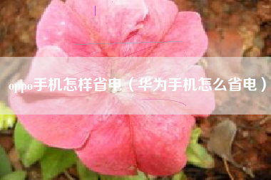 oppo手机怎样省电（华为手机怎么省电）