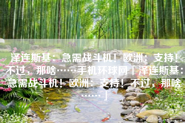 泽连斯基：急需战斗机！欧洲：支持！不过，那啥……手机环球网「泽连斯基：急需战斗机！欧洲：支持！不过，那啥……」