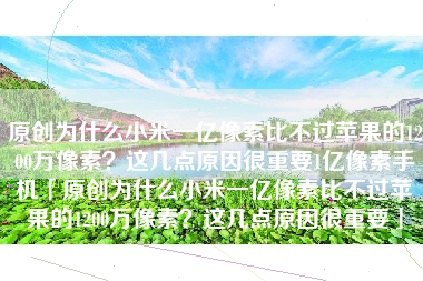 原创为什么小米一亿像素比不过苹果的1200万像素？这几点原因很重要1亿像素手机「原创为什么小米一亿像素比不过苹果的1200万像素？这几点原因很重要」