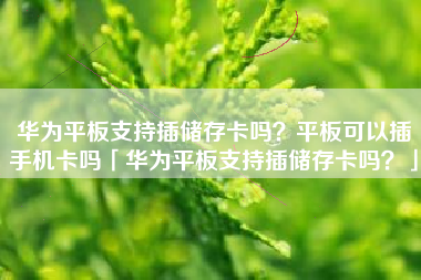 华为平板支持插储存卡吗？平板可以插手机卡吗「华为平板支持插储存卡吗？」