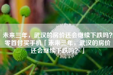 未来三年，武汉的房价还会继续下跌吗？零首付买手机「未来三年，武汉的房价还会继续下跌吗？」