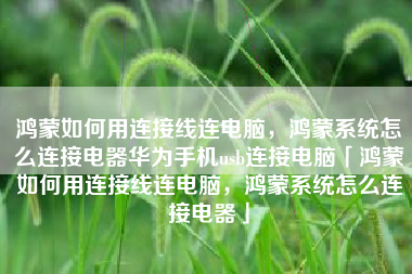 鸿蒙如何用连接线连电脑，鸿蒙系统怎么连接电器华为手机usb连接电脑「鸿蒙如何用连接线连电脑，鸿蒙系统怎么连接电器」