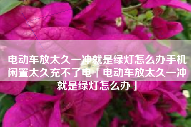 电动车放太久一冲就是绿灯怎么办手机闲置太久充不了电「电动车放太久一冲就是绿灯怎么办」