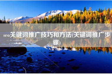 seo关键词推广技巧和方法(关键词推广步骤)