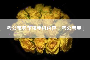 考公宝典苹果手机内存「考公宝典」