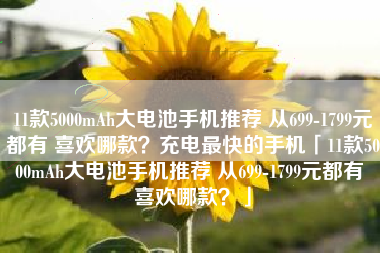 11款5000mAh大电池手机推荐 从699-1799元都有 喜欢哪款？充电最快的手机「11款5000mAh大电池手机推荐 从699-1799元都有 喜欢哪款？」