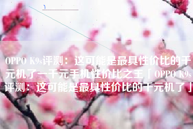 OPPO K9s评测：这可能是最具性价比的千元机了一千元手机性价比之王「OPPO K9s评测：这可能是最具性价比的千元机了」