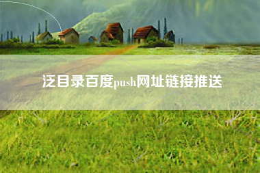 泛目录百度push网址链接推送