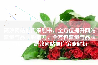 高效网站推广策划书，全方位提升网站流量与品牌影响力，全方位流量与品牌力提升，高效网站推广策略解析