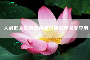 大数据大联网看智能可视管理深度应用