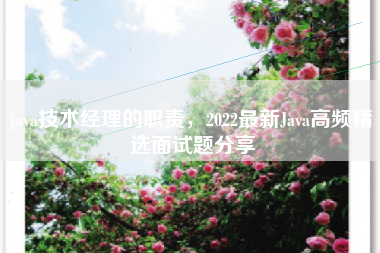 java技术经理的职责，2022最新Java高频精选面试题分享