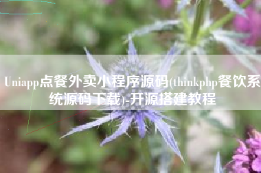 Uniapp点餐外卖小程序源码(thinkphp餐饮系统源码下载)-开源搭建教程