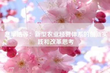 赵军洁等：新型农业经营体系的创新实践和改革思考