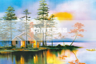 聚合搜索浏览器 聚合搜索浏览器