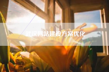 武汉网站建设方案优化