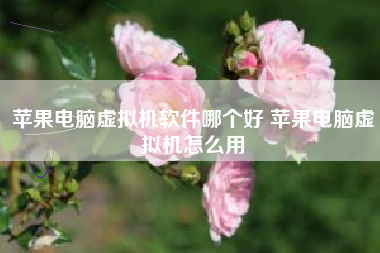 苹果电脑虚拟机软件哪个好 苹果电脑虚拟机怎么用