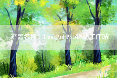 产品名称：ThinkPad P51s移动工作站