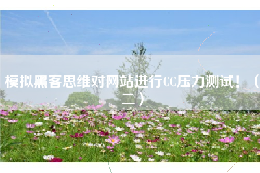 模拟黑客思维对网站进行CC压力测试！（二）