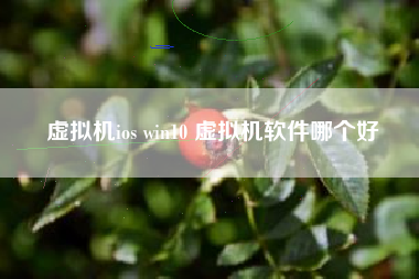 虚拟机ios win10 虚拟机软件哪个好