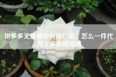 拼多多无货源如何找厂家，怎么一件代发丨多多情报通