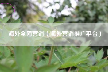 海外全网营销（海外营销推广平台）