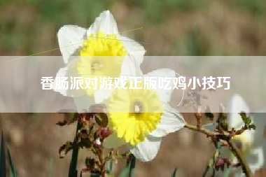 香肠派对游戏正版吃鸡小技巧