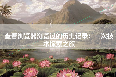 查看浏览器浏览过的历史记录：一次技术探索之旅