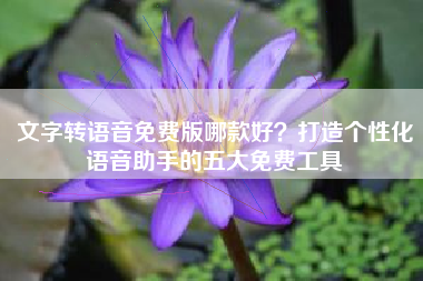 文字转语音免费版哪款好？打造个性化语音助手的五大免费工具
