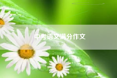 中考语文满分作文