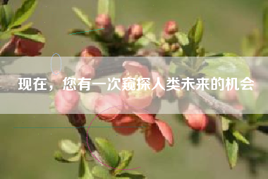 现在，您有一次窥探人类未来的机会