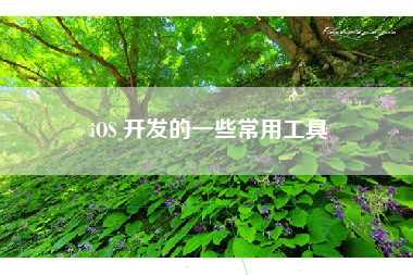 iOS 开发的一些常用工具