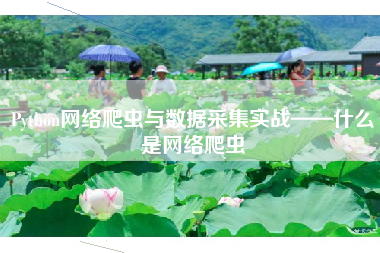 Python网络爬虫与数据采集实战——什么是网络爬虫 Python网络爬虫与数据采集实战——什么是网络爬虫