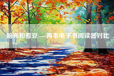 脑壳和看豆----两本电子书阅读器对比