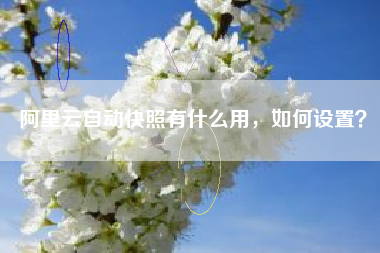 阿里云自动快照有什么用，如何设置？