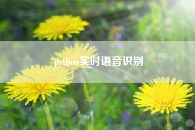 python实时语音识别