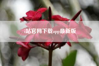 i站官网下载app最新版