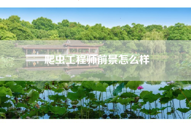 爬虫工程师前景怎么样