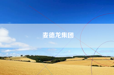 麦德龙集团